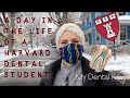 My Dental Key | Day in the Life 🦷 | Harvard Dental Student