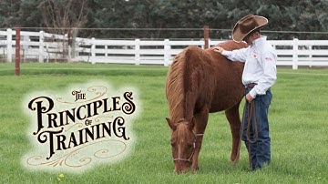 The Principles of Training Season 2 Episode 1: "Change One Thing at a Time"