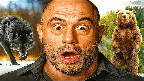 10 WILDEST Animal Stories Ever Shared on Joe Rogan Podcast