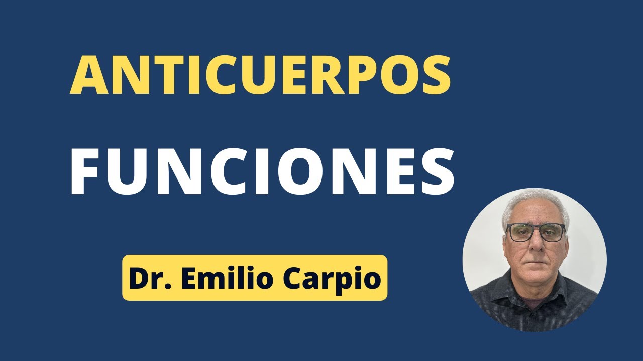 Anticuerpos: Funciones