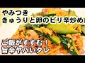 人気【豚こまと胡瓜と卵のピリ辛炒め】これだけは覚えたい！定番の中華おかず ごはんが鬼すすむ君(きゅうりバズレシピ)
