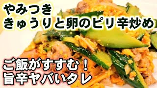 人気【豚こまと胡瓜と卵のピリ辛炒め】これだけは覚えたい！定番の中華おかず ごはんが鬼すすむ君(きゅうりバズレシピ)
