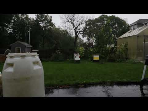 ASMR Rainy Day in Massachusetts