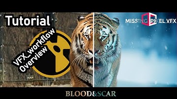 2D Compositing in Nuke (Blood & Scar) - Shot Overview