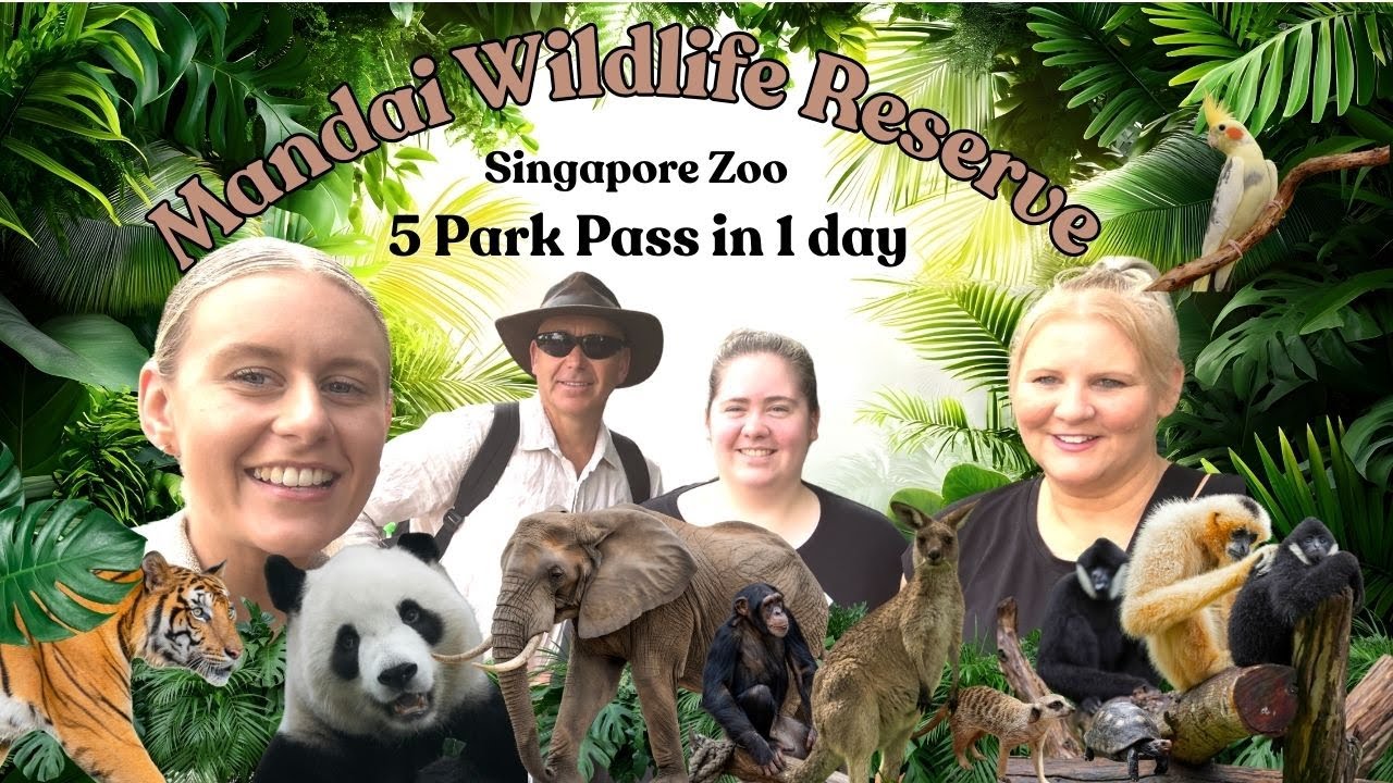 Абонемент на посещение 5 парков Сингапурского зоопарка за один день | Стоит ли оно того? 🦁🐼🐯