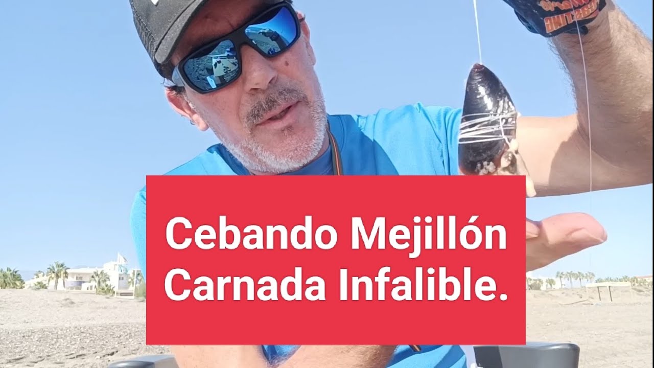 Cómo cebar MEJILLÓN