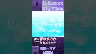 【歌ってみた】青のすみか/キタニタツヤ【Shibasora】 Shorts Short カラオケ 歌ってみた キタニタツヤ  青のすみか  thefirsttake  呪術廻戦