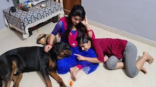 my dog jerry is taking care of my  wife|funny dog videos|rottweiler dog.