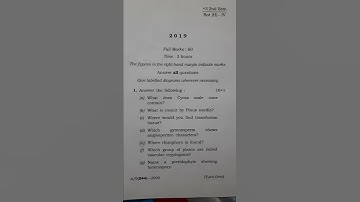 +3 2nd sem BOT (H)-4 | Archegoniate | Sambalpur university |