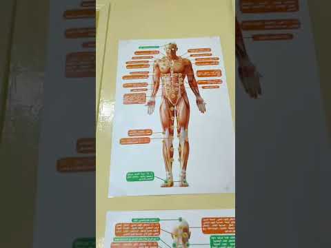 أماكن حجامه دوالي الخصية عيادة إدريس