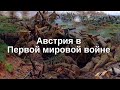 История Австрии: Первая мировая война / History of Austria: World War I (Eng subs)