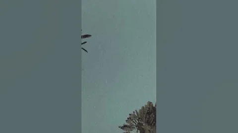 BARSE BIBAR AGN🥰#bodosong #bodogirl