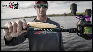 4 Gear Tips for Better Topwater Bass Fishing