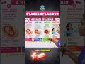 Stages of Labour | Important Topic for NORCET & Nursing Exams #norcet