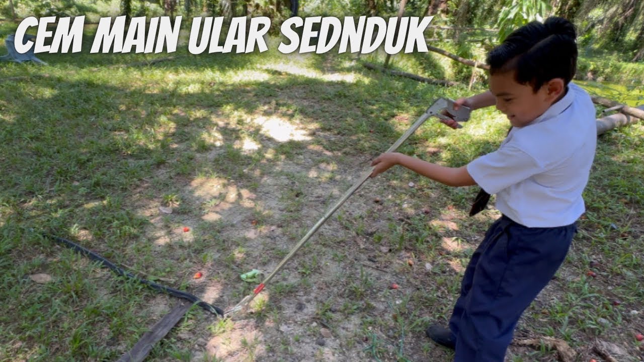 Cem suka betul kalau ada ular, dia x tau ular tu Bahaya!! 😩