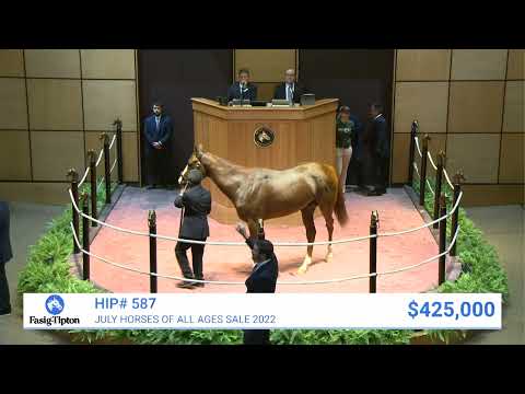 First Constitution (CHI) sells for $430,000 at July Selected Horses of All Ages (2022)