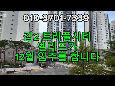 대전 갑2트리풀시티 엘리프 입주 ㅣ 전세월세 매물접수중 #대전부동산 #도안신도시#대전아파트