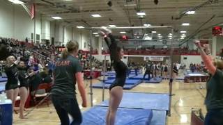 3/3/17 - WIAA State Team Gymnastics