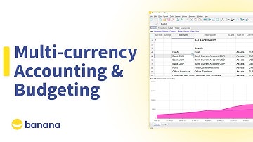 Multi-currency Accounting & Budgeting | Banana+