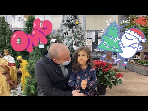 როგორი ნაძვის ხე აარჩია მაელიმ ახალი წლისთვის