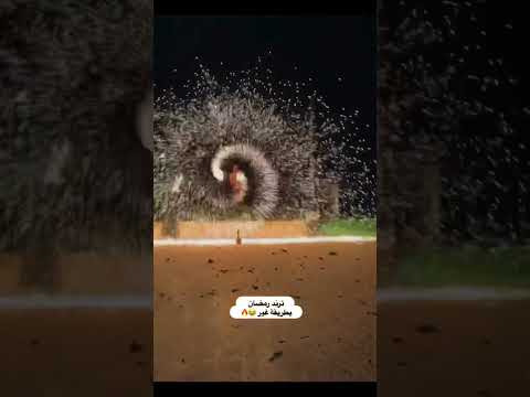 اسرع ترند رمضاني في الاردن 2025 اكسبلور رمضان مصر المغرب جزائر العراق عرب 2025