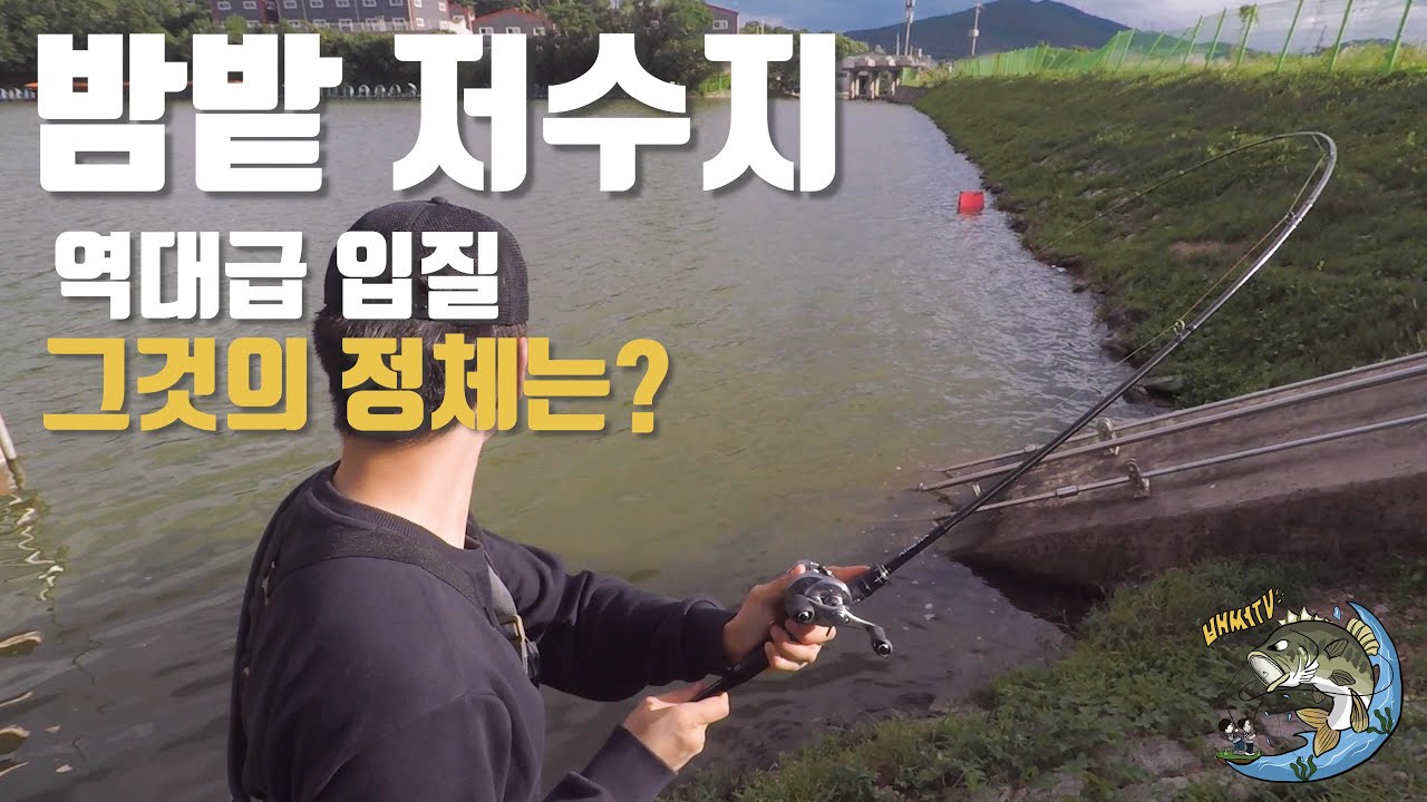 [배써TV] 포천 밤밭저수지 ‘배스 찾아 삼만리’ EP.1