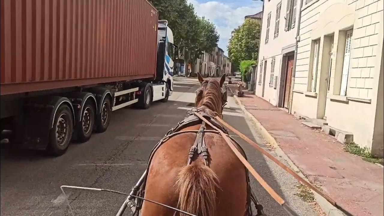 Adelia Le Joug De La Fleur Scan Vf JOUG - YouTube