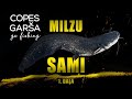 COPES GARŠA -S4E06 - MILZU SAMI! (1. daļa)