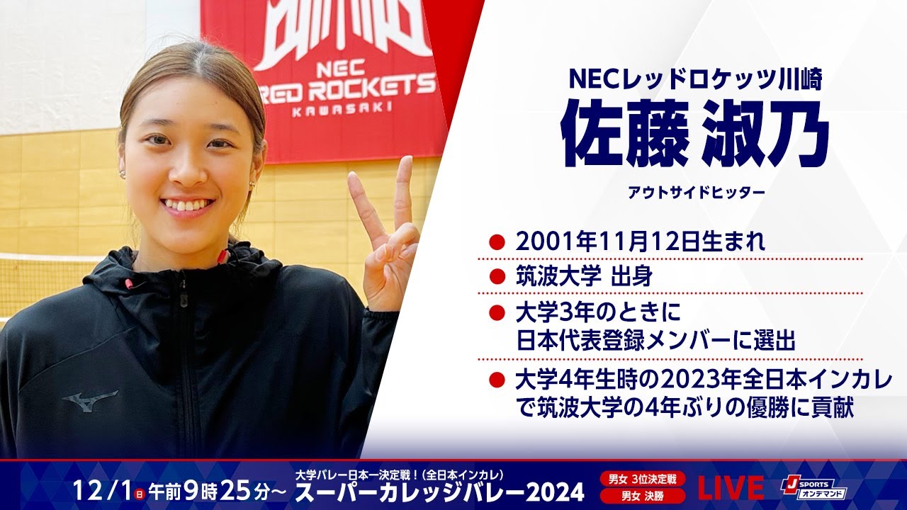 佐藤淑乃 バレーボール女子日本代表 応援Tシャツ 限定 NECレッドロケッツ 佐藤淑乃 バレーボール女子日本代表 応援Tシャツ 限定 NECレッド