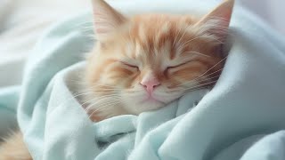 Music for Nervous Cats - Soothing Sleep Music, Deep Relaxation Music For Your Pet by Purrful Sounds 200 views 5 days ago 3 hours, 32 minutes