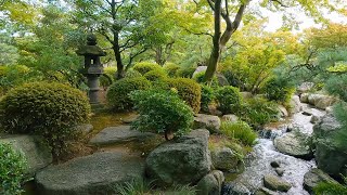 Japanese Garden at Ohori Park in Fukuoka, Japan
