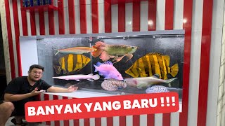 Download Lagu BANYAK YANG BARU DI MARKAS JAMM VLOG!! MULAI DARI IKAN PREDATOR SAMPAI SISTEM FILTRASI BARU MEGATANK MP3 Download Lagu BANYAK YANG BARU DI MARKAS JAMM VLOG!! MULAI DARI IKAN PREDATOR SAMPAI SISTEM FILTRASI BARU MEGATANK MP3