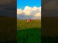 This is Mongolia🇲🇳 Country Like You’ve Never Seen Before! #shorts #viralshort