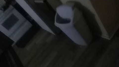 The brain does not compute music video