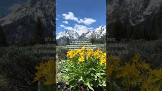 it has always been this #healingtok #almost30 #inyour20s... #Shorts #braverher