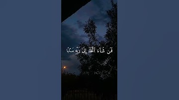 #تلاوة_خاشعة تريح القلب🥺🤍 #القرآن_الكريم #المصحف #اكسبلور #راحة_نفسية #لايك #دويتو