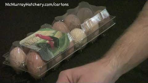 Clear Egg Carton
