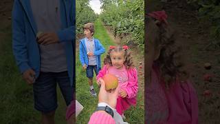 Did We find the biggest Yummy Apples & Pears?😳🍎🍐#Yummy #shorts #apples #pears #yummyfood #family