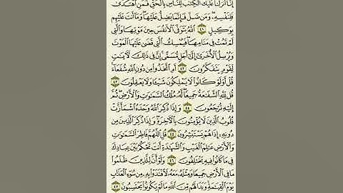 سورة الزمر من الآية ٤١ إلى الآية ٤٧بصوت القارئ ماهر المعيقلي