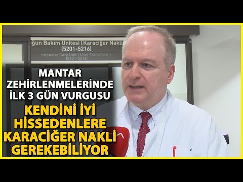 Mantar Zehirlenmelerinde İlk 3 Güne Dikkat