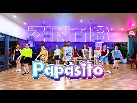 ZUMBA®︎ DVD ZIN115 ZIN116 ZIN117 ZIN118 Zin Zumba Instructor Network: CD & DVD Combo Includes Mega