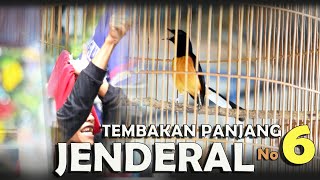 TEMON HEBOH JILID 4 : TEMBAKAN PANJANG MURAI BATU JENDERAL MILIK MR. NOVI DI PONTIANAK JUARA 6 G28