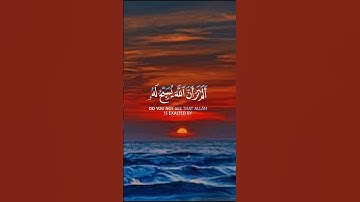 القران الكريم راحت البال والنفس والروح والقلب #اكسبلور #دويتو #القرآن_الكريم #duet #يارب #راحة_نفسية