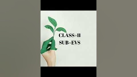 Ch:8 Health is wealth EVS II