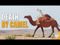The phantom camels of arizona  the red ghost  the camel corps