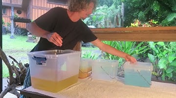 Keshe Magrav GANS Production, Washing and Soup