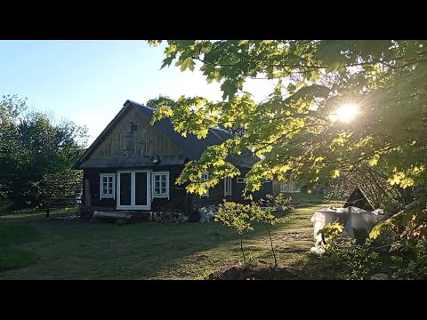 Купил ХУТОР ,в Беларуси и РАЗВЛЕКАЮСЬ. Жена нагрянула. 'ПАМАГИТЯЯЯ!'