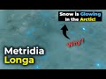 Metridia Longa | Snow is Glowing in the Arctic!