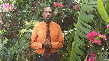 Connect Live 2020 - Application Video