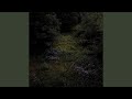 Miniature de la vidéo de la chanson Funeral Plant